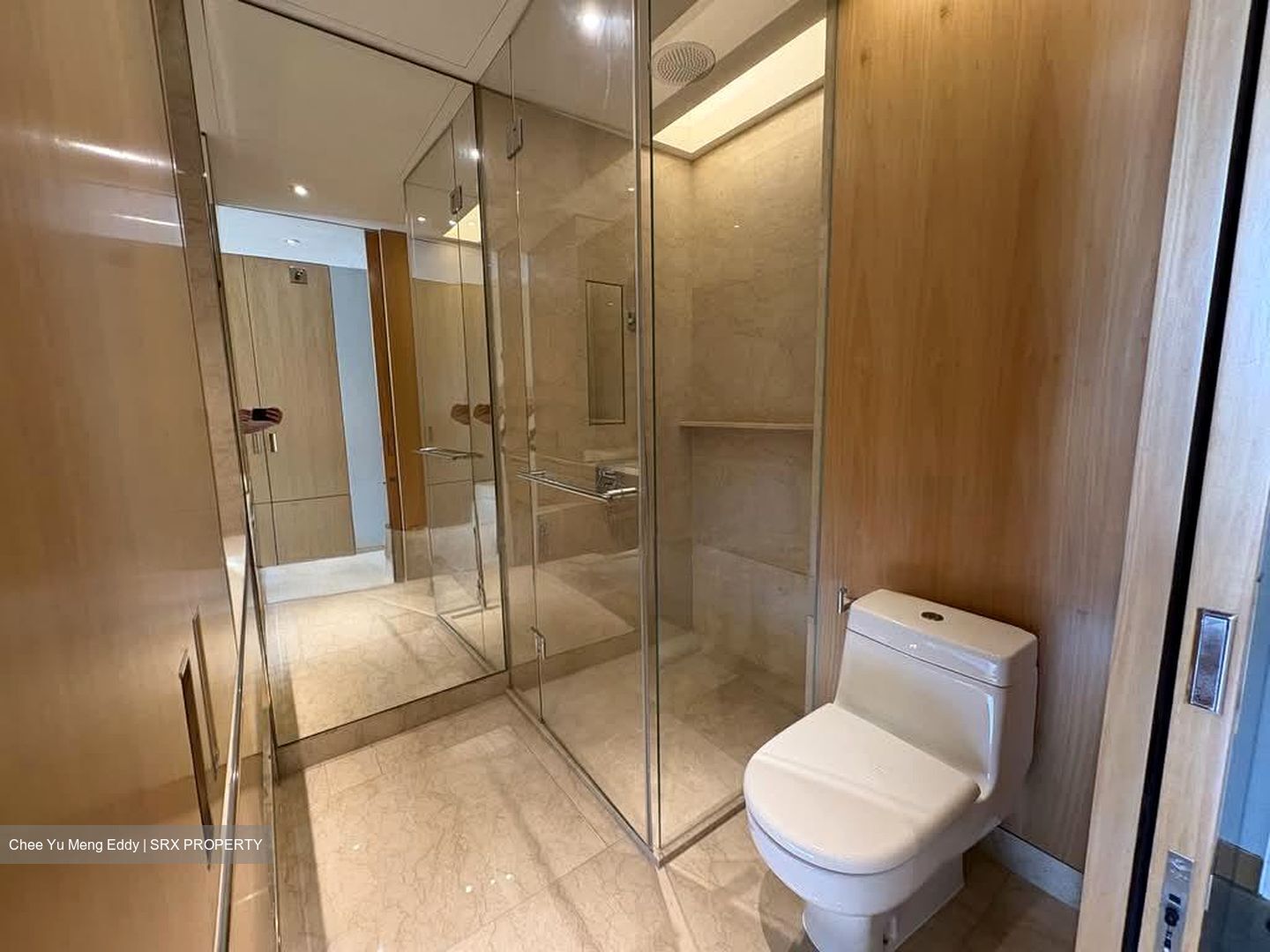Ardmore Residence (D10), Condominium #559688521